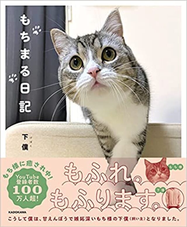 Cat Mochimaru Guinness certification