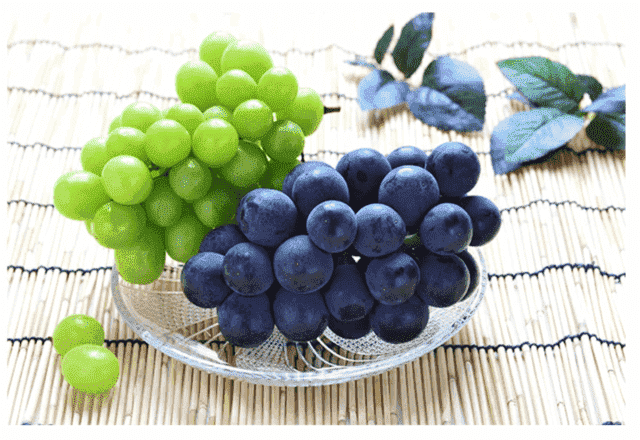 Grape season and nutrition